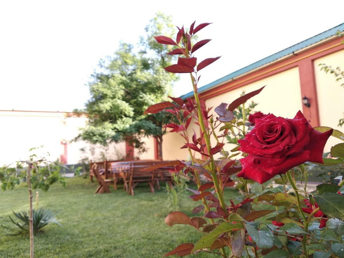 Chinor Garden Hotel - Free Airport Pick-Up And Drop-Off Taškent Exteriér fotografie
